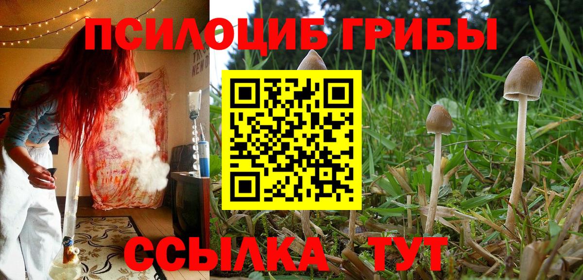 Нерюнгри  Галлюциногенные грибы MAGIC MUSHROOMS  Вход с VPN 