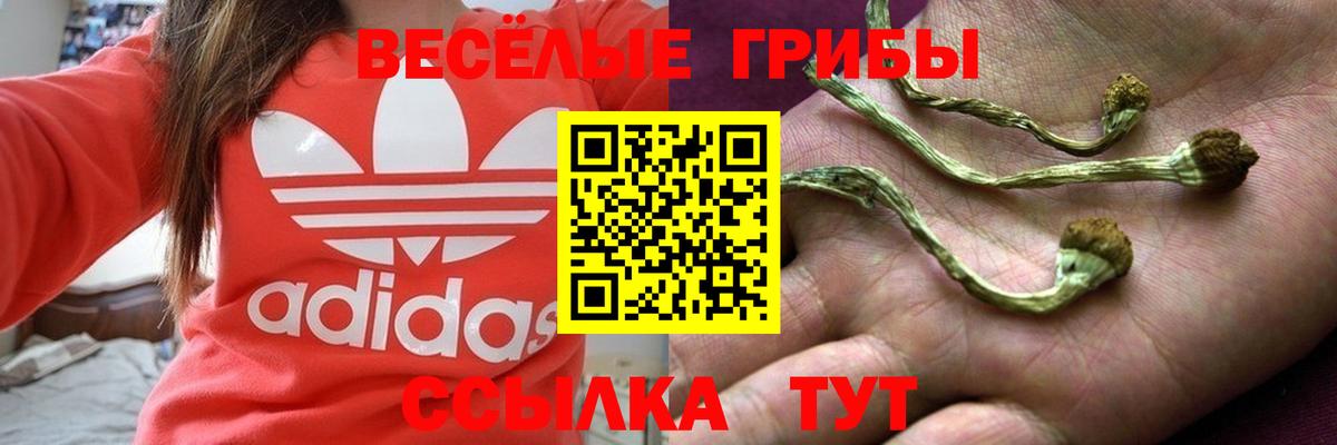 Галлюциногенные грибы мухоморы Нерюнгри
